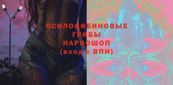 винт Липки