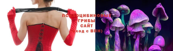винт Липки