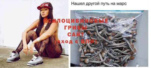 винт Липки