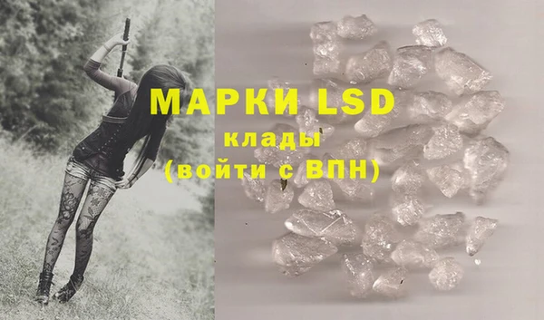винт Липки