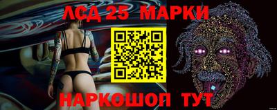 скорость Гатчина