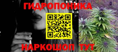 хмурый Бийск