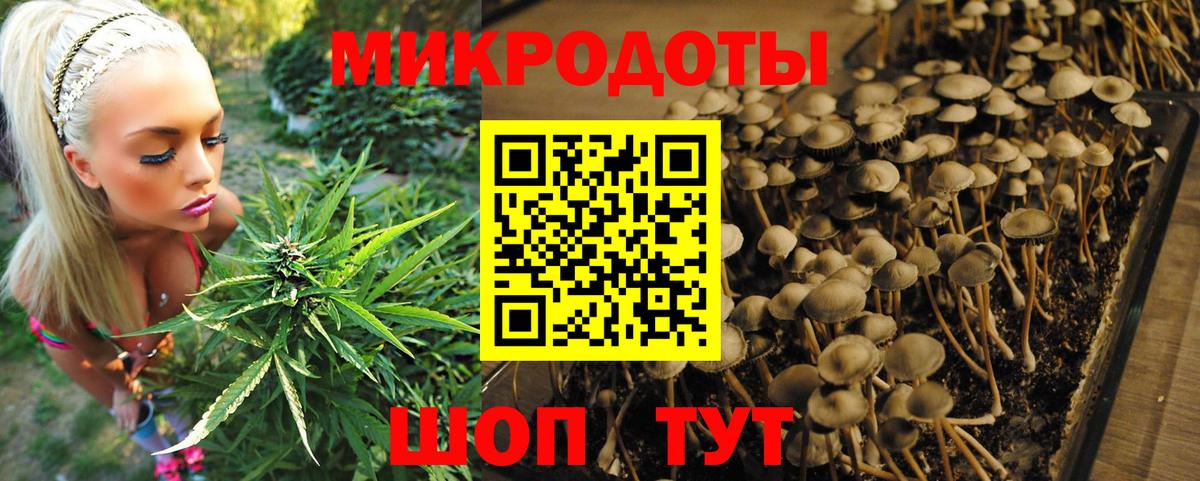 Псилоцибиновые грибы GOLDEN TEACHER  Псилоцибиновые грибы Magic Shrooms  Жуковский 